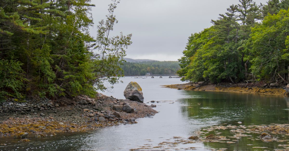 Peaceful rocky river scene surrounded by lush greenery in Acadia National Park, Maine.